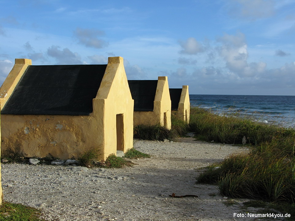 0006 Insel Bonaire 2009
